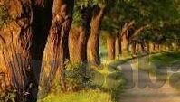 足球比分一-足球比分背后的风云变幻，一场比赛，无限故事