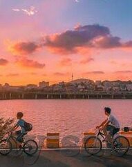 足球纯比分-足球纯比分，绿茵场上的数字交响诗